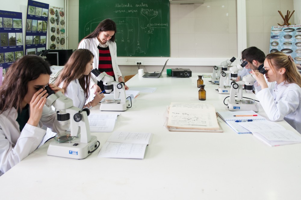 Miranović: PMF završava godinu kao lider UCG po broju naučnih radova u svjetskim bazama
