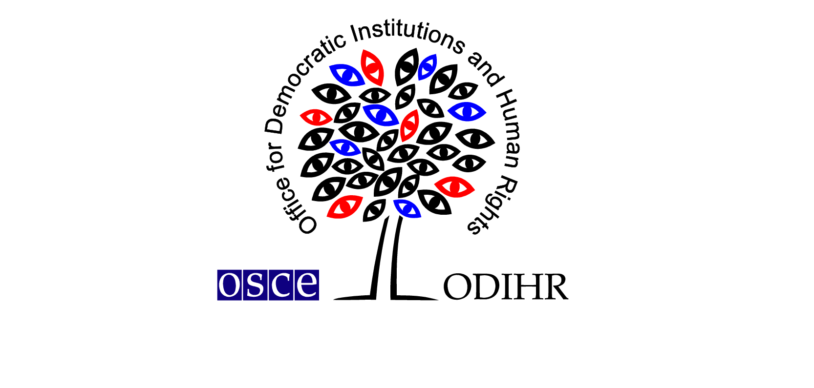 Misija ODIHR: Izbori sprovedeni transparentno, iako DIK nije adekvatno ispunio svoju ulogu