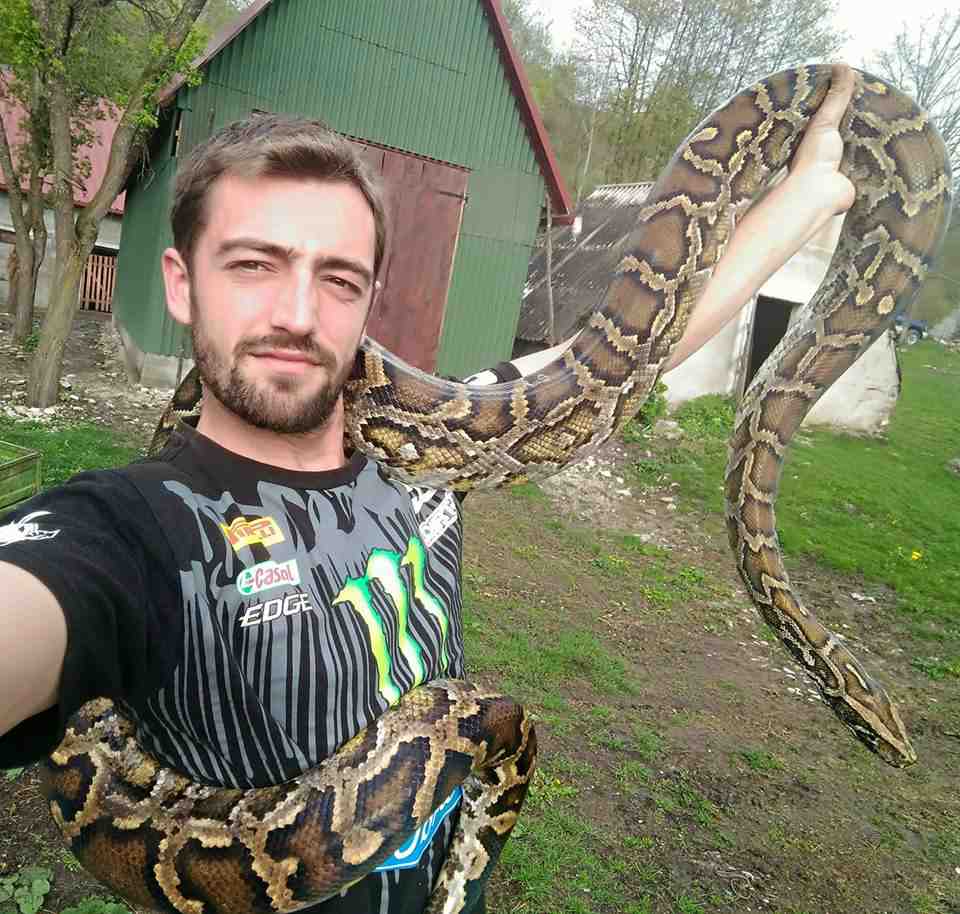 BURMANSKI PITON kućni ljubimac Miljana Tomića iz Šavnika