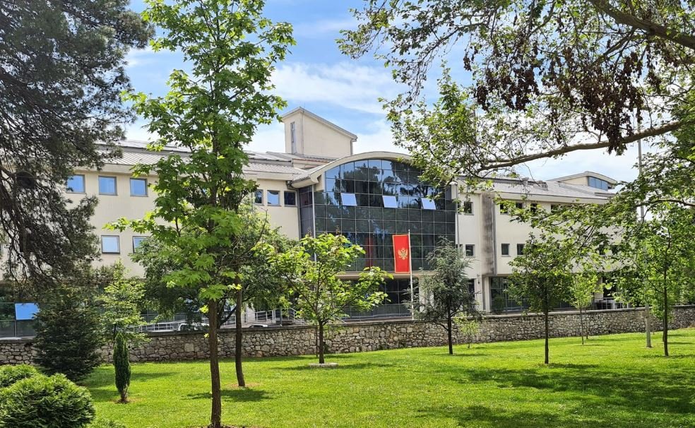 Crna Gora se pridružila inicijativi Brain Health Mission
