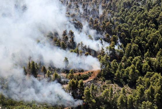 Grčka i dalje gori: Kanaderi, helikopteri i 400 vatrogasaca bori se sa požarom na Eviji
