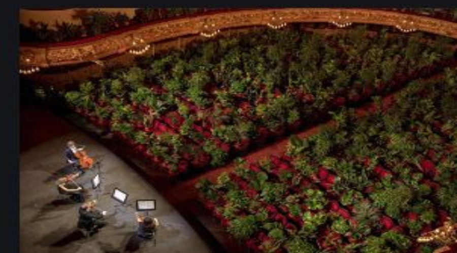 Koncert gudačkog kvarteta Barselone posvećen biljkama