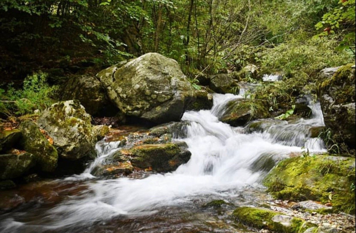 NVO "Sačuvajmo ljepote Bjelasice" i mještani Mušovića Rijeke protiv osnježavanja i vodosnabdijevanja planinskih centara na Bjelasici