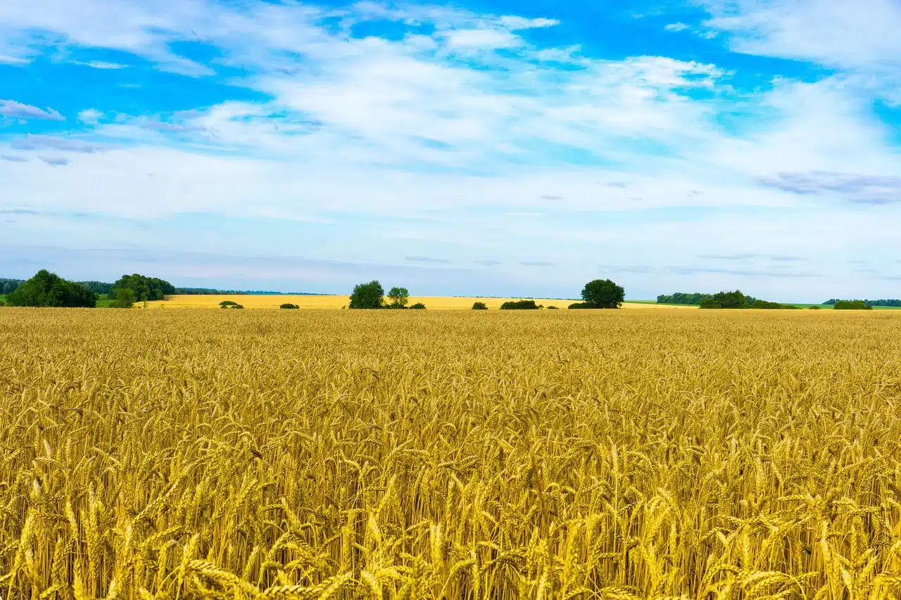 Rusija tvrdi da zauzela još dva sela na istoku Ukrajine