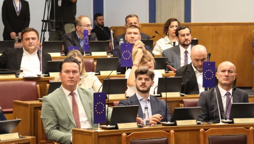 PES: Milan Knežević izaziva paniku i vrši neprimjereni pritisak na institucije