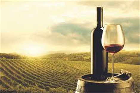 Podrška za bolje pozicioniranje crnogorskih vina na tržištu