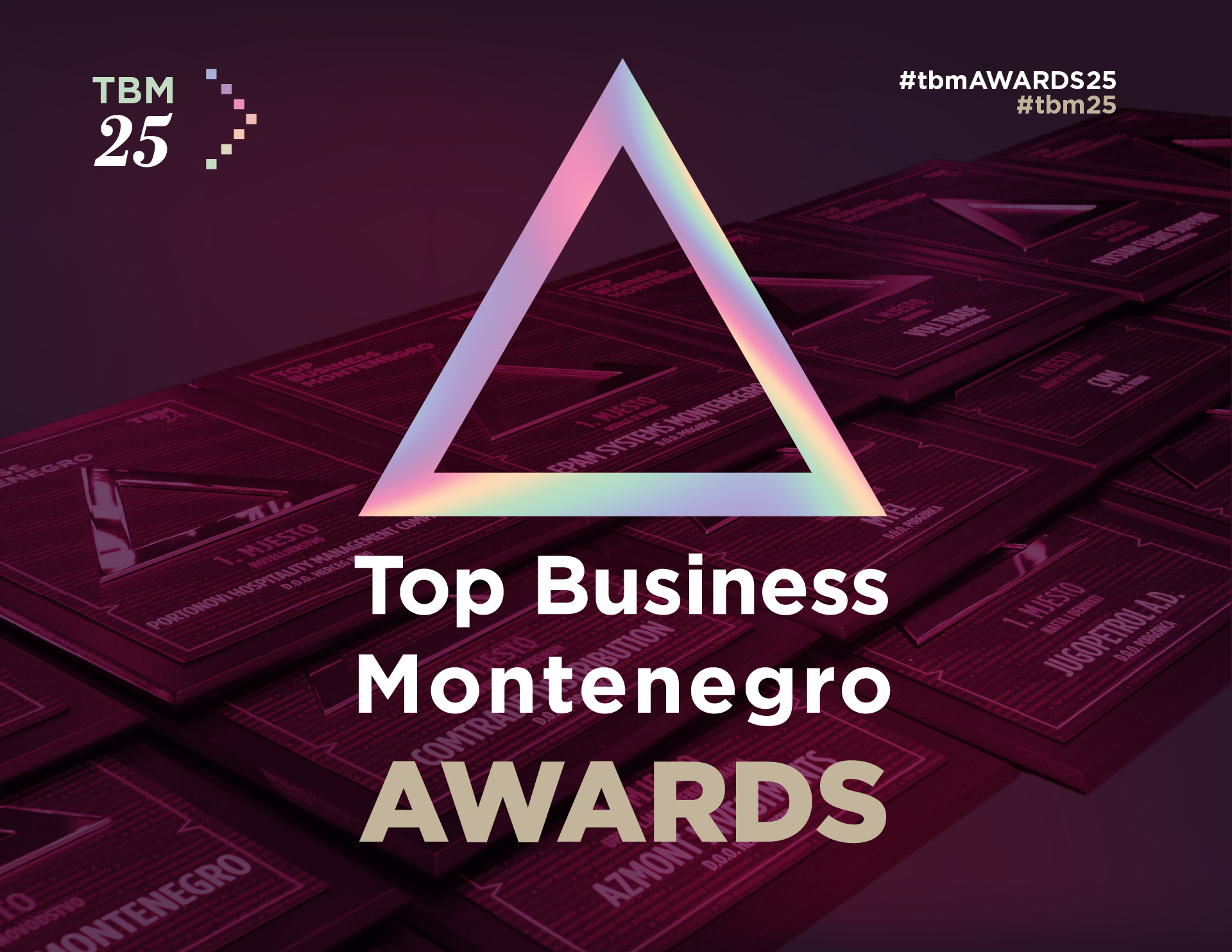 Ovo su dobitnici Top Business Montenegro Awards 2025